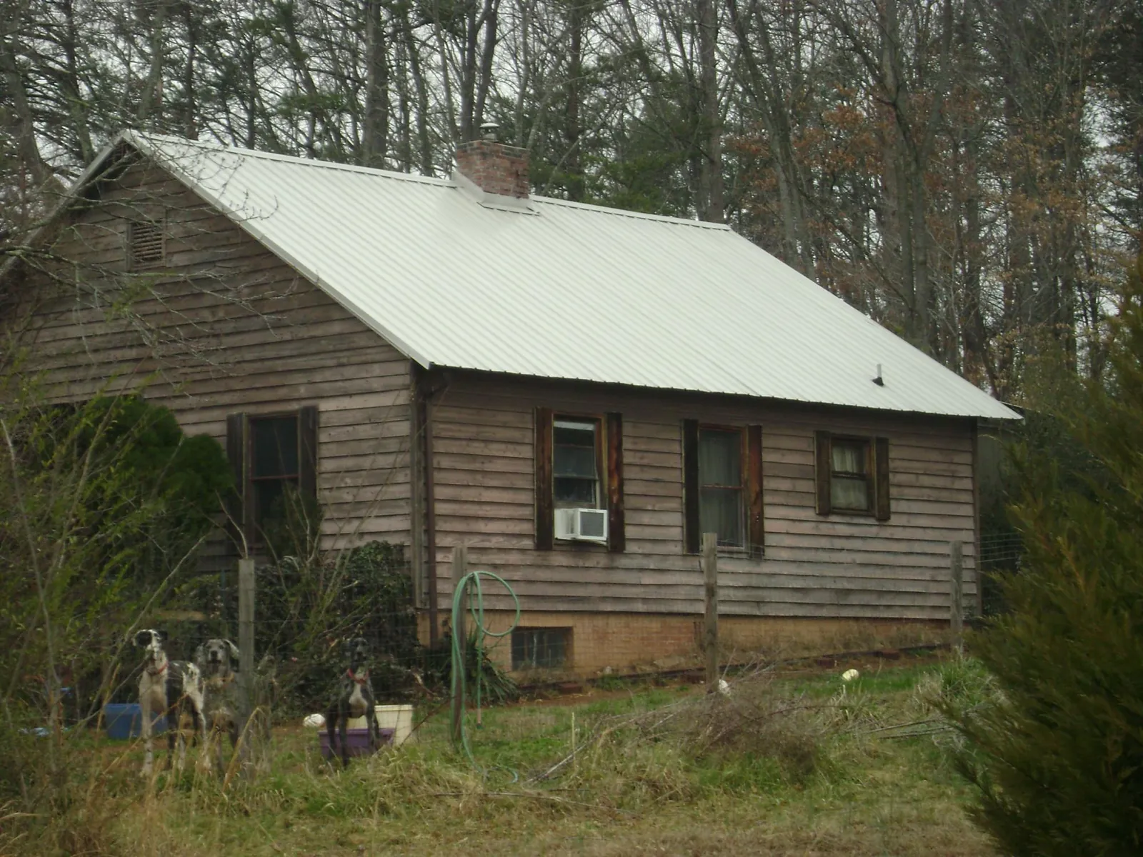 White metal roof on an old wood sided farmhouse, from a Asphalt Shingle Roof Repair job in Newberry